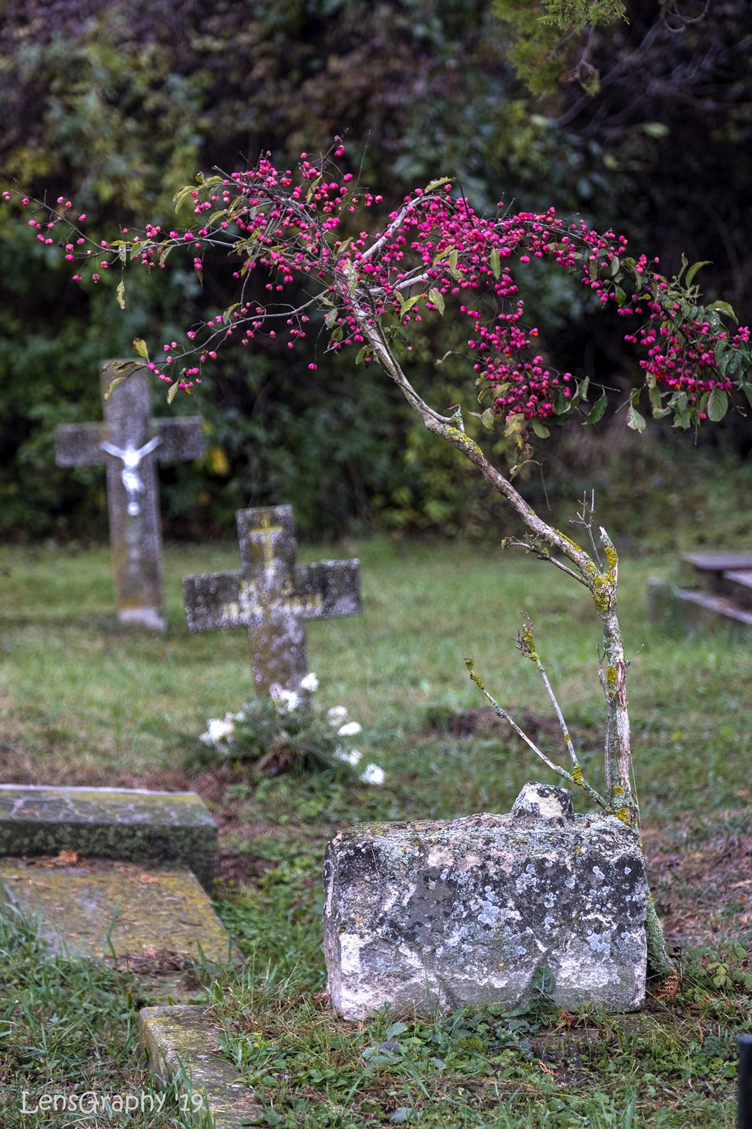 Himesi temető